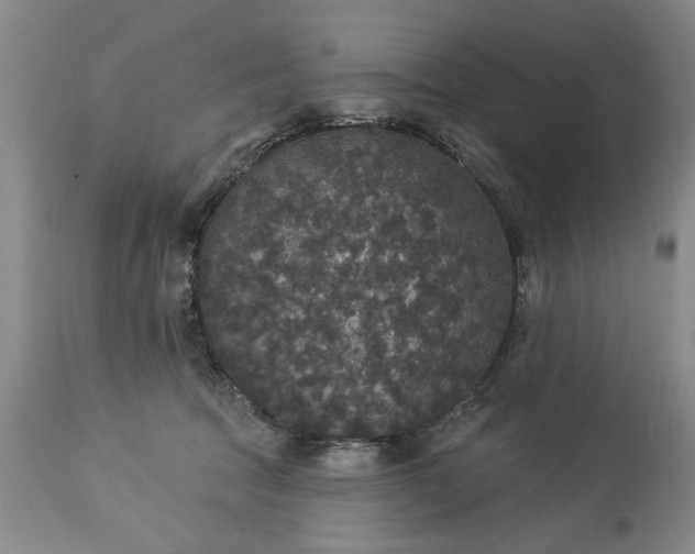 X0000113550369200910021536