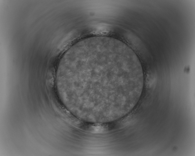 X0000113550370200910021536