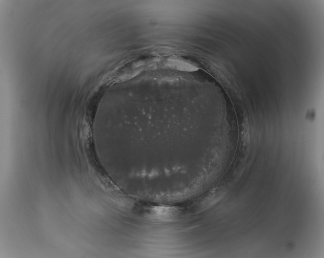 X0000113550371200910021536