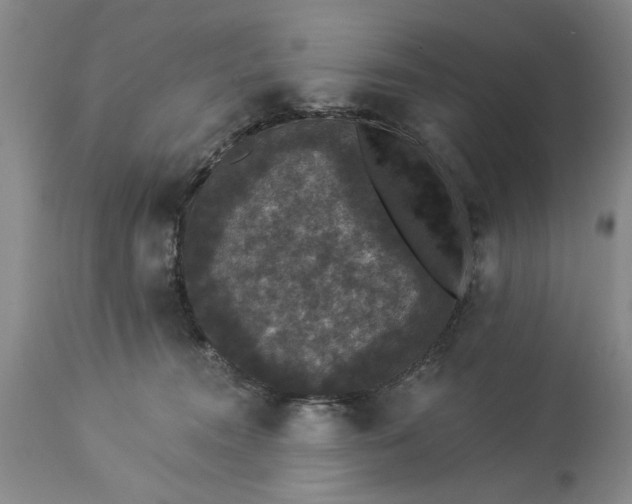 X0000113550372200910021536