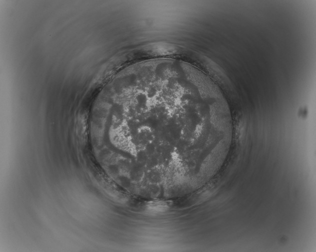 X0000113550373200910021536