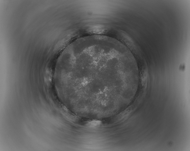 X0000113550374200910021536