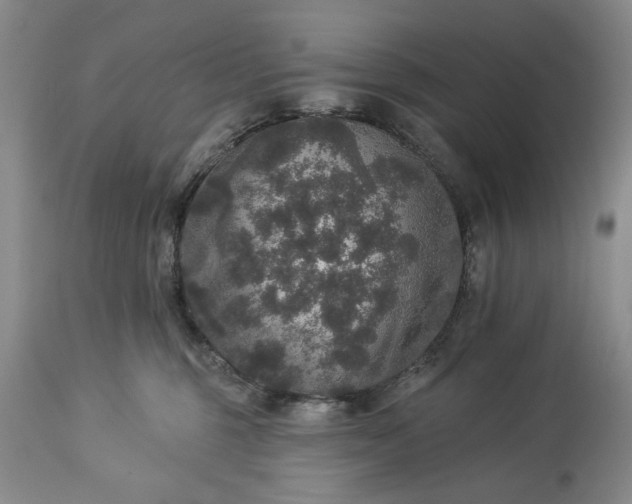 X0000113550375200910021536