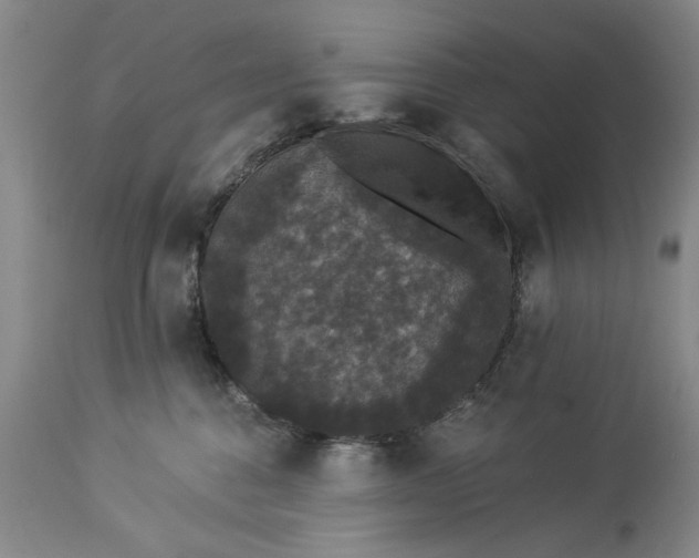 X0000113550376200910021536