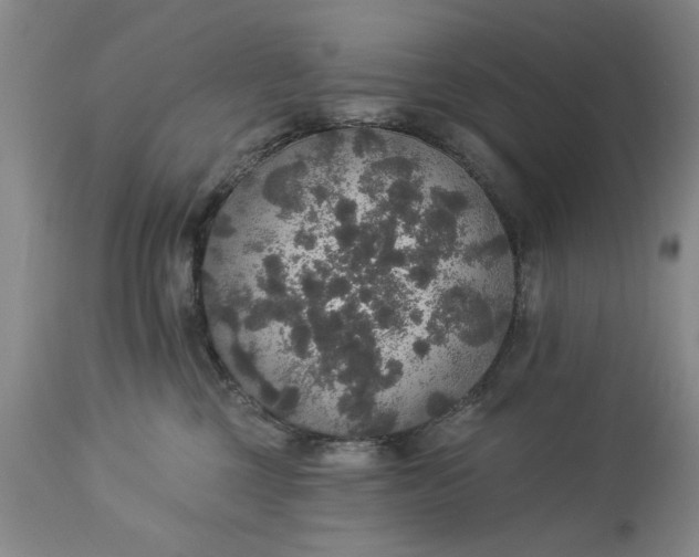 X0000113550377200910021536