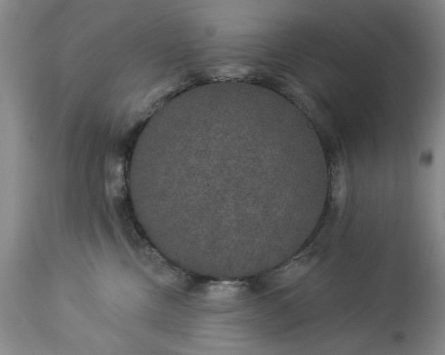 X0000113550378200910021536