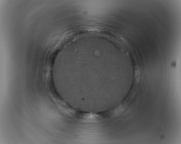 X0000113550379200910021536