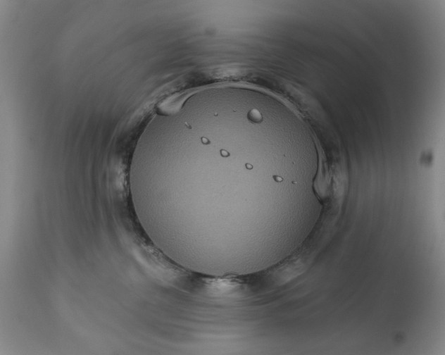 X0000113550380200910021536