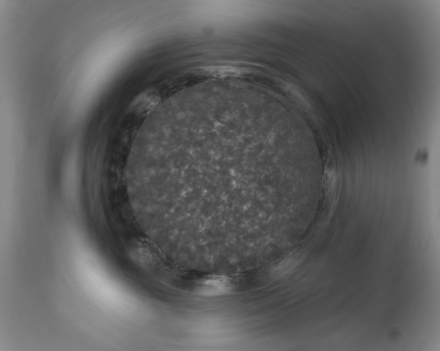 X0000113550381200910021536