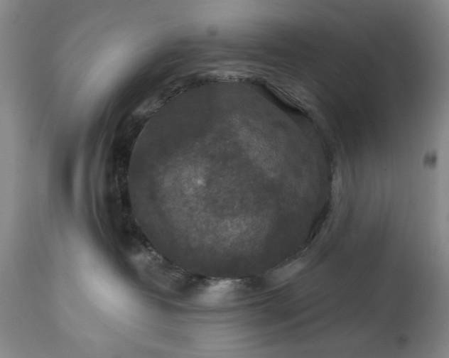 X0000113550382200910021536