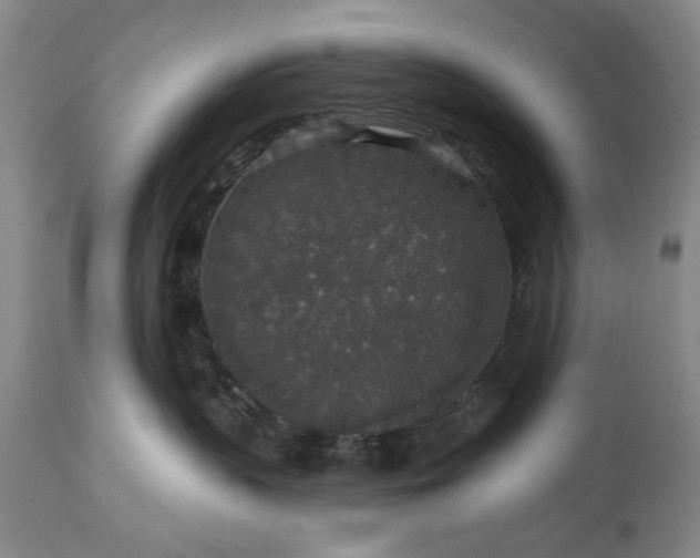 X0000113550383200910021536