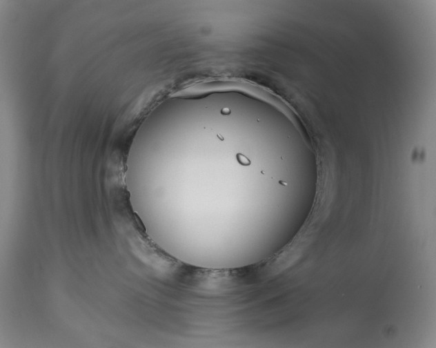 X0000113550384200910021536