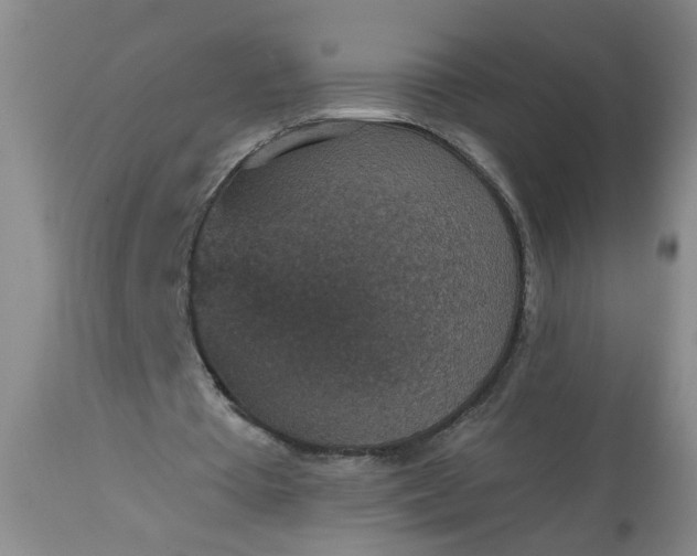 X0000113550385200910021535