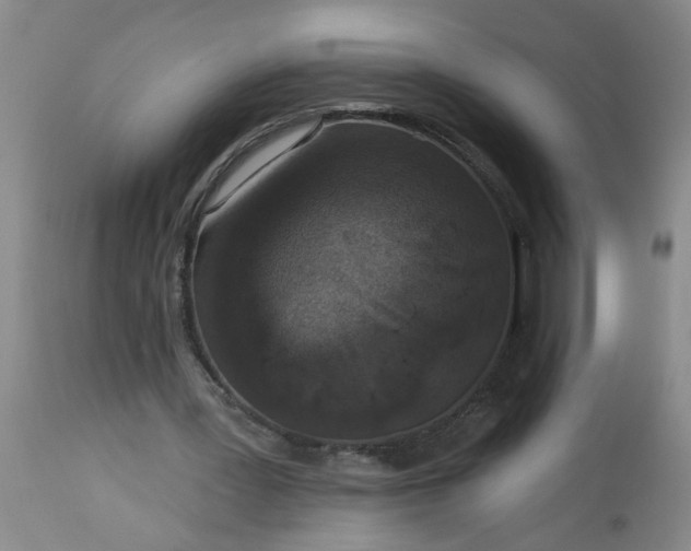 X0000113550387200910021535