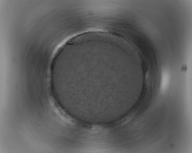 X0000113550388200910021535