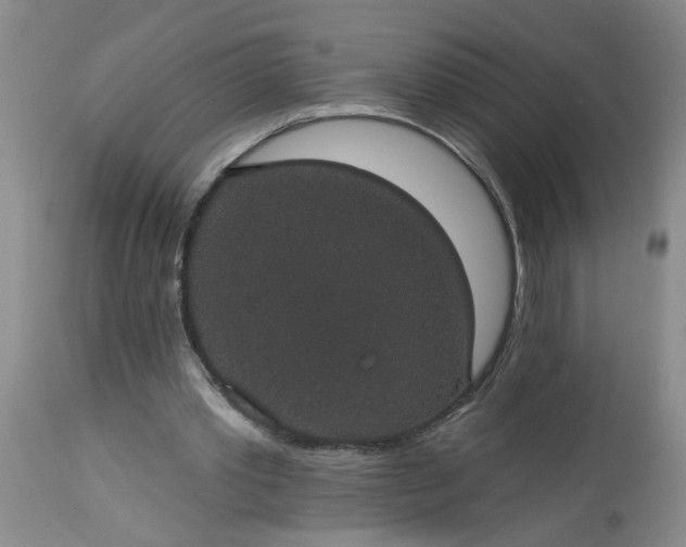 X0000113550389200910021535