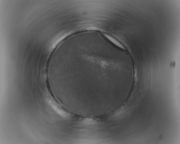 X0000113550390200910021535