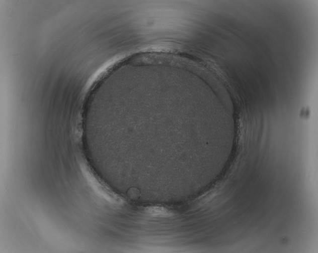 X0000113550392200910021535