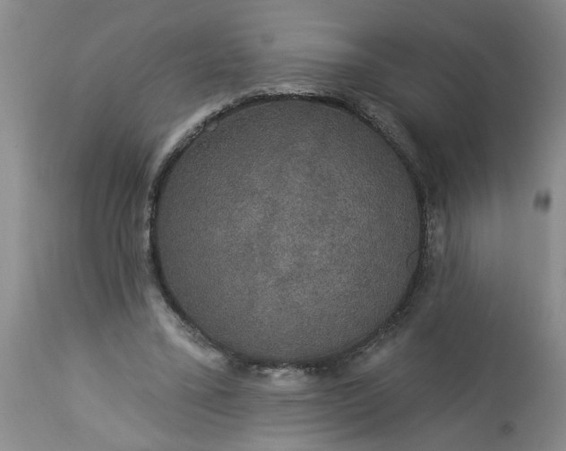 X0000113550395200910021535