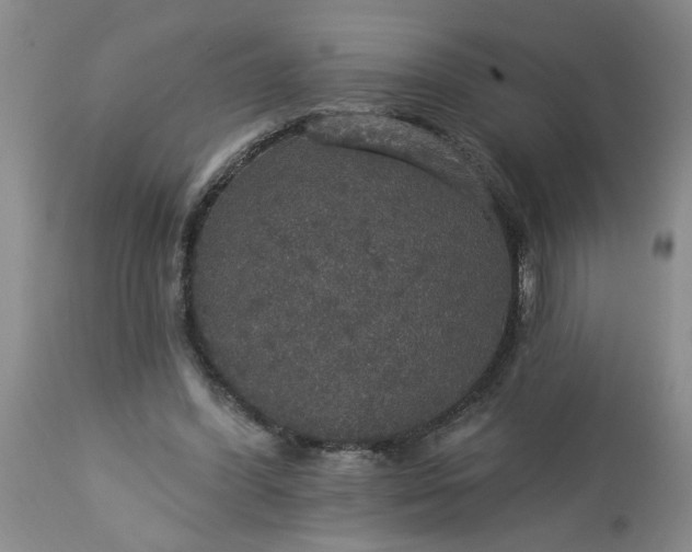 X0000113550396200910021535