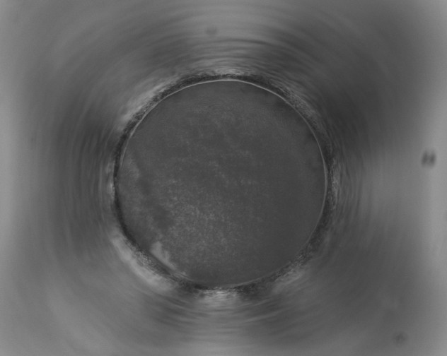 X0000113550398200910021535