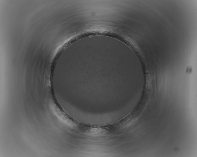 X0000113550399200910021535