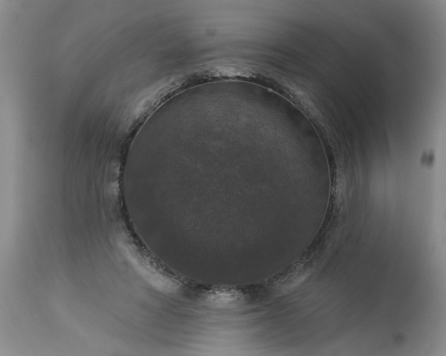 X0000113550402200910021535