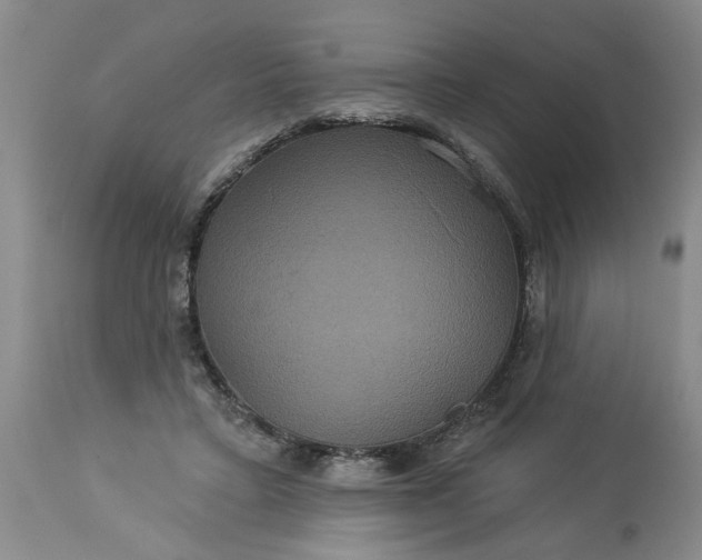 X0000113550403200910021535