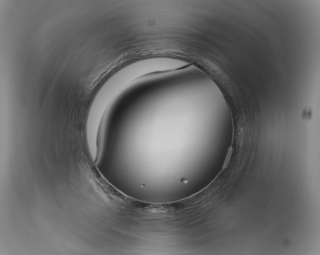 X0000113550405200910021535