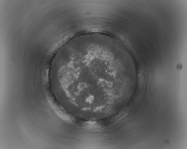 X0000113550406200910021535