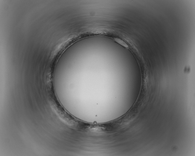 X0000113550407200910021535