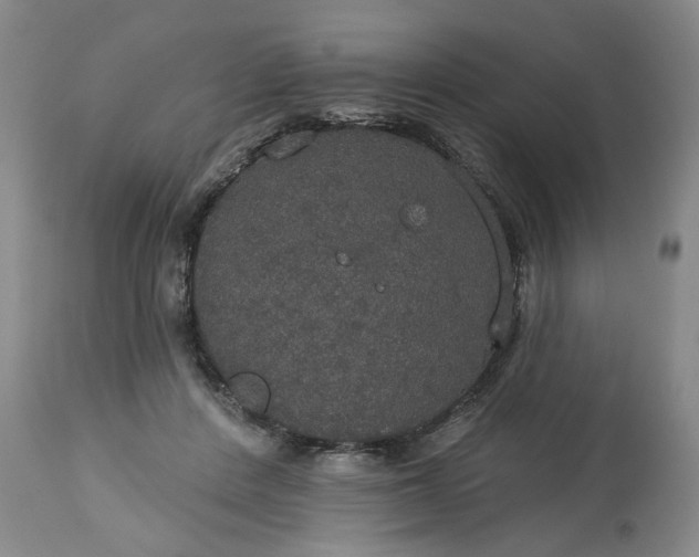 X0000113550408200910021535