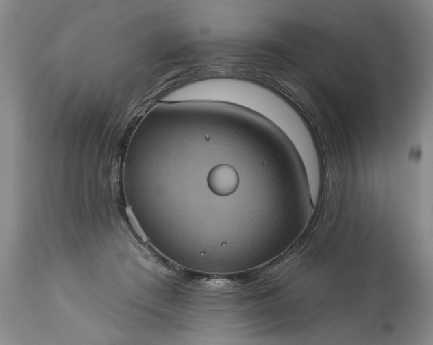 X0000113550409200910021535