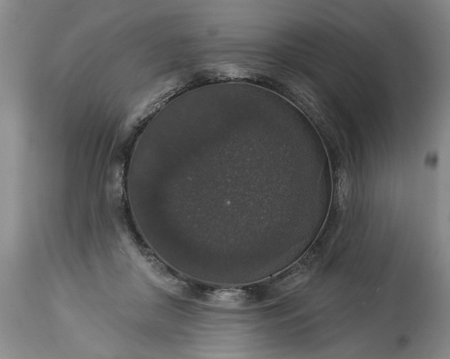 X0000113550410200910021535