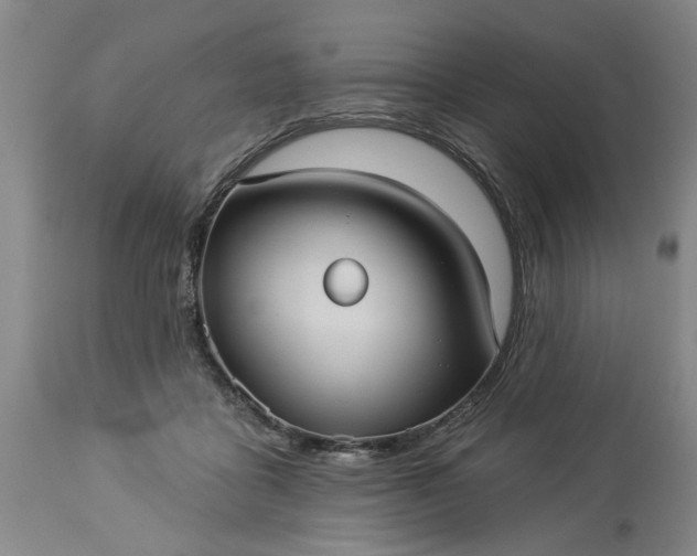 X0000113550411200910021535