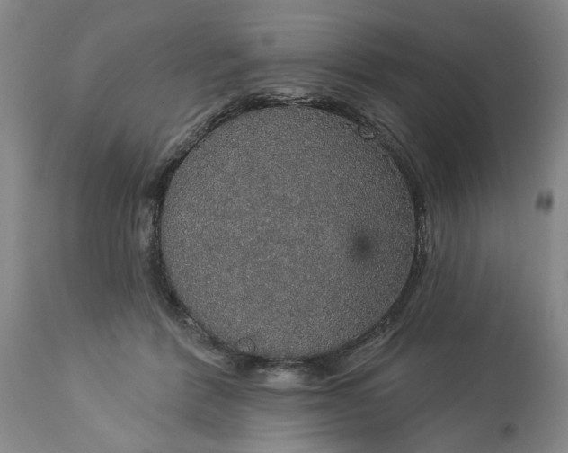 X0000113550412200910021535