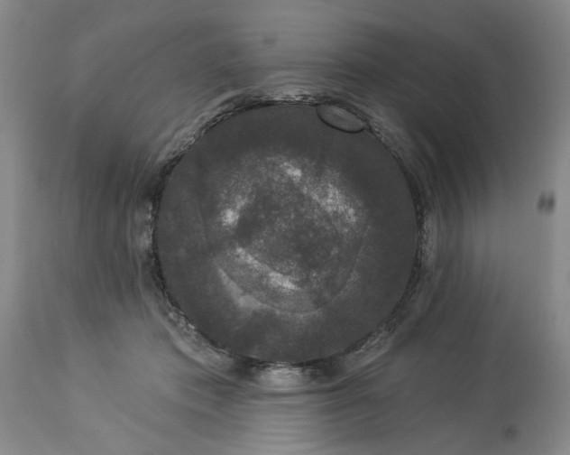 X0000113550413200910021535