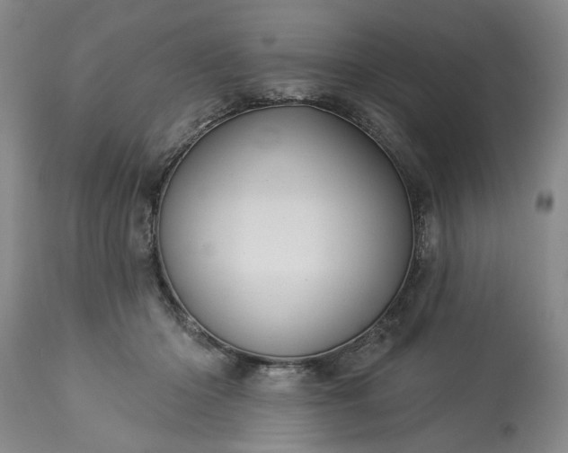 X0000113550414200910021535