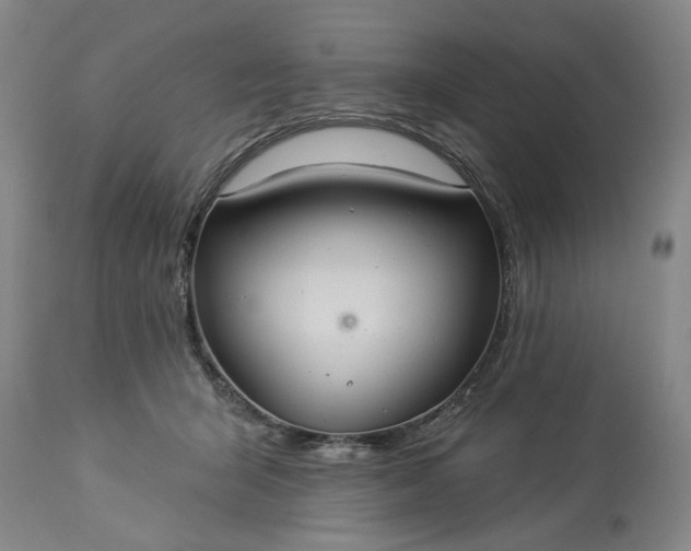 X0000113550415200910021535