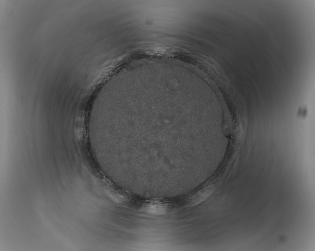 X0000113550416200910021535