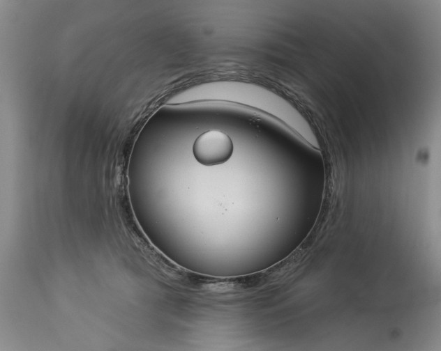 X0000113550417200910021535