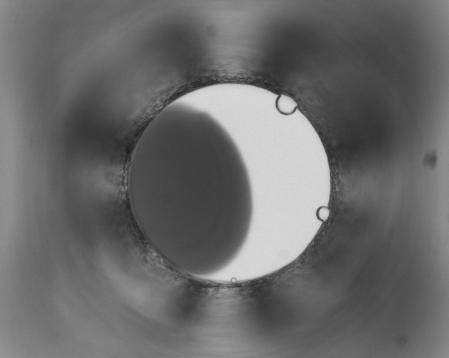 X0000113550419200910021535