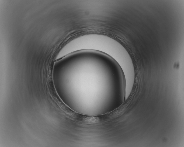 X0000113550421200910021535