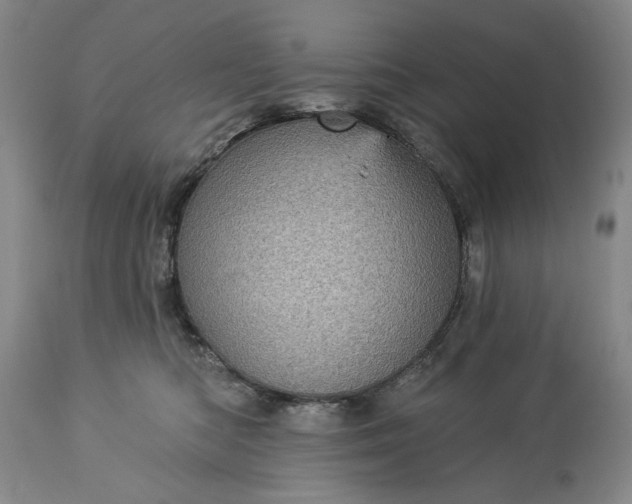 X0000113550422200910021535