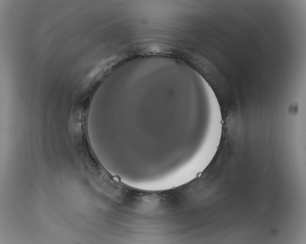 X0000113550423200910021535