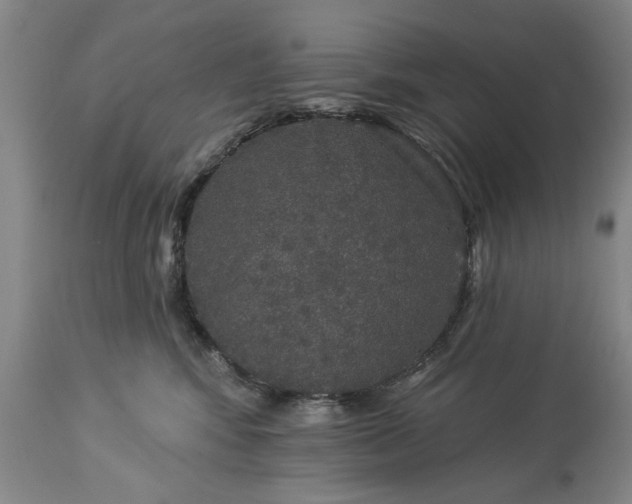 X0000113550424200910021535