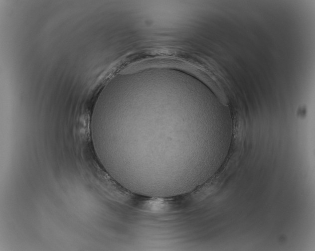 X0000113550425200910021535