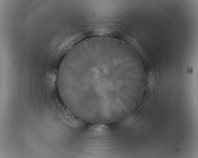 X0000113550427200910021535