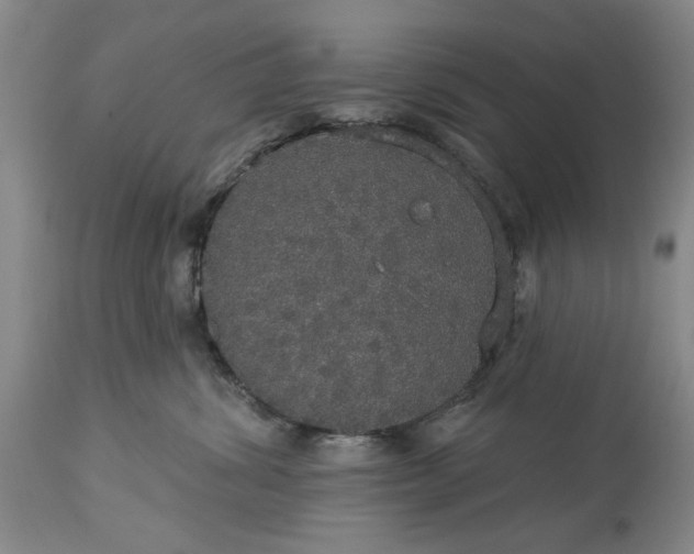 X0000113550428200910021535