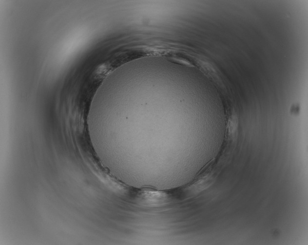 X0000113550429200910021535